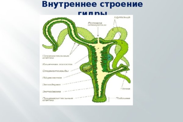 Современный маркетплейс kraken door